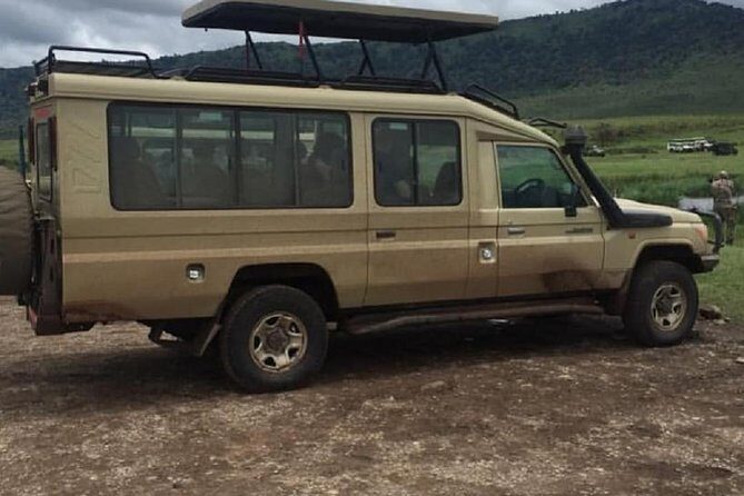 serengeti, ngorongoro & tarangire 4 days private tour - The Authentic Experience: Wildlife, Scenery, and Guides