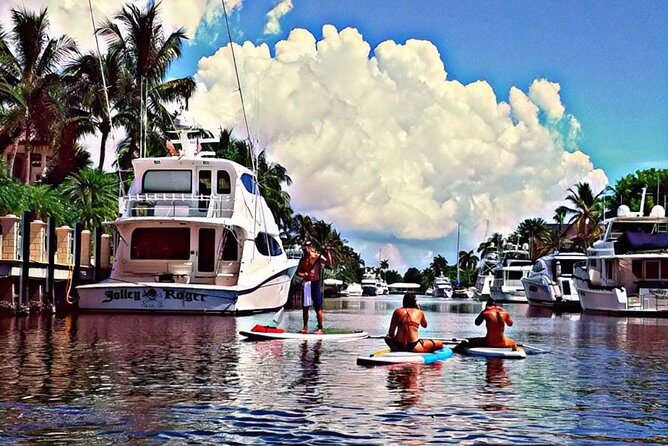 Seven Isles Tour & Exclusive Fort Lauderdale Mangrove & ECO Paddle Board / Kayak - Exploring the Mangroves