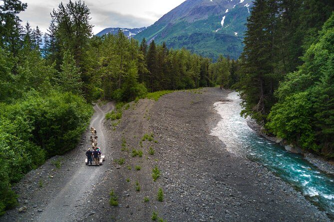 Seward and Kenai Fjords National Park Guided Tour with Lunch - Analyzing the Value