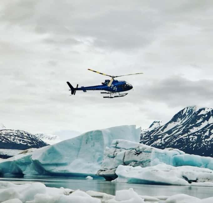 Seward: Bear Glacier Helicopter Tour with Beach Landing - Authentic Feedback and Real Experiences