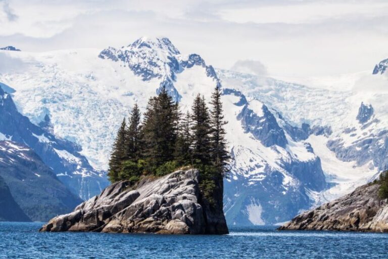 Seward: Kenai Fjords National Park Catamaran Cruise w/Lunch - Who Should Book This Tour?