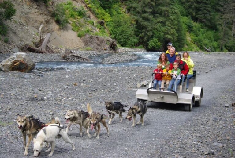Seward: Summer Dog Sled Ride and Seavey Estate Tour - The Itinerary in Detail