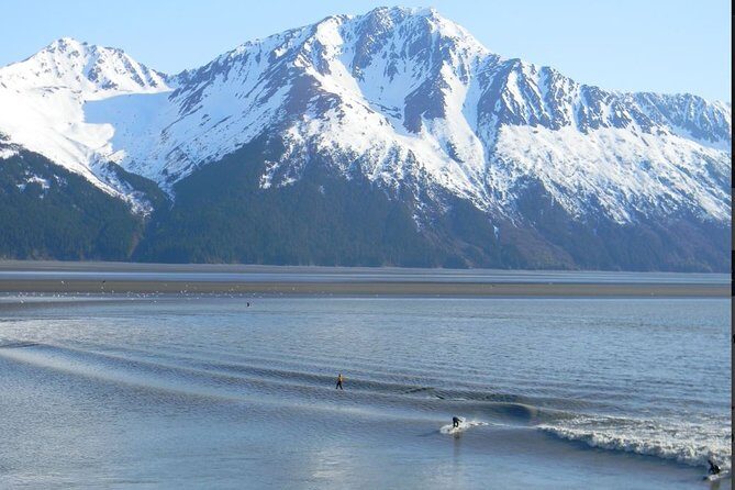 Seward to Anchorage Cruise Transfer and Private Tour - Who Should Choose This Tour?