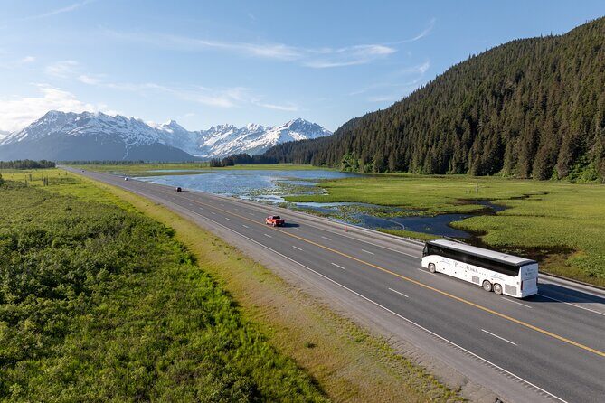Seward to Anchorage Direct Transfer Tour - The Scenic Journey Along Seward Highway