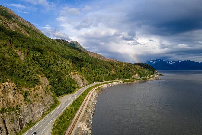 Seward to Anchorage- Post Cruise Curated Wildlife Tour +Transfer - Itinerary Breakdown