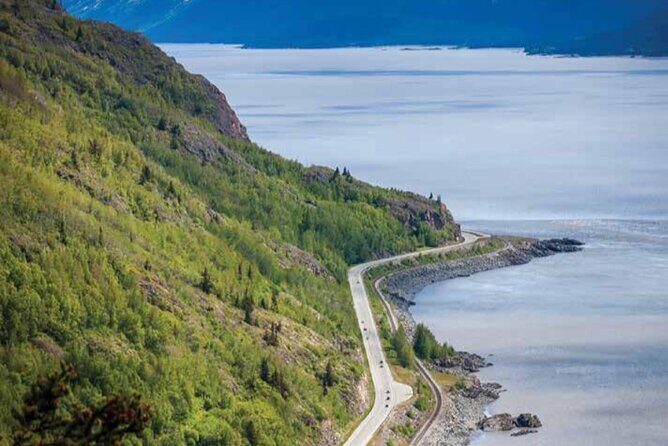 Seward to Anchorage Wildlife Adventure - A Detailed Look at What You’ll Experience