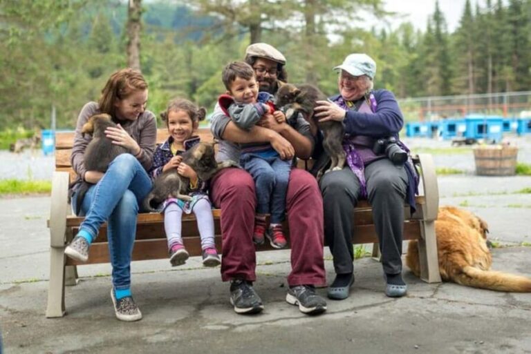 Seward: Turning Heads Kennel Tour & Dog Sled Ride - The Itinerary in Detail