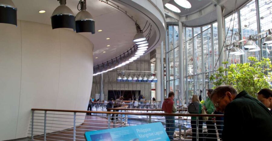 SF: CA Academy of Sciences & Hop-on Hop-off Tour (Save 15%) - What Travelers Are Saying