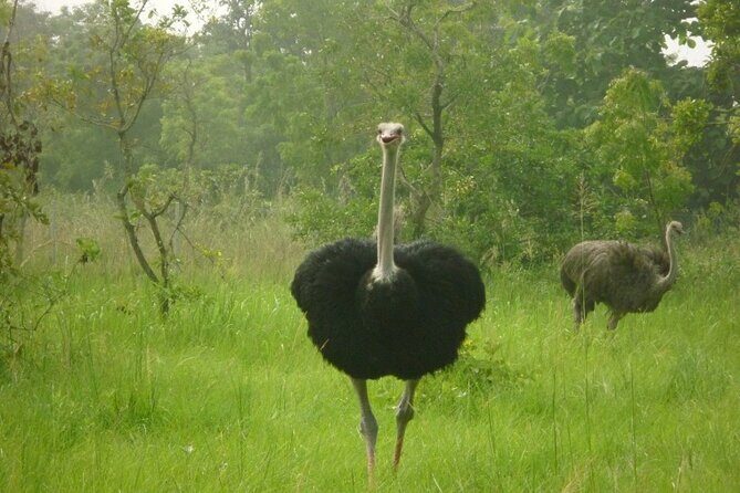 Shai Hills Half Day Accra Safari, Hike & see Animals - Transport and Logistics