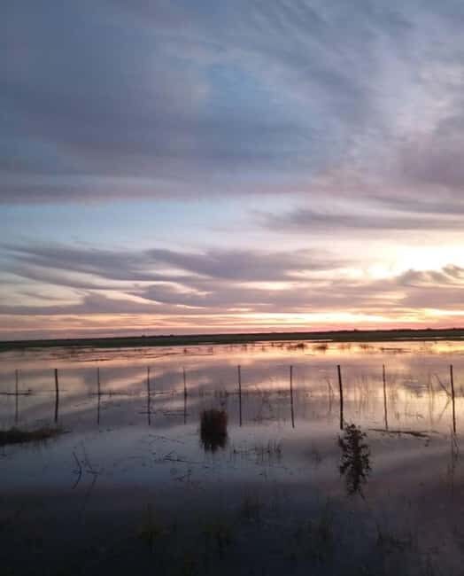 Shakawe: 3-Day Okavango Eastern Panhandle Safari - What Travelers Say