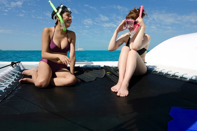 Shallow Water Snorkeling and Dolphin Watching in Key West - Price and Value Analysis