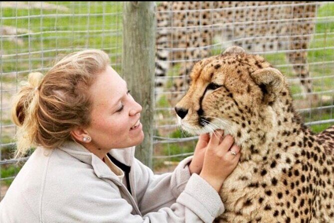 Shared: Cape Winelands, Cheetah Outreach & Kisternbosch Botanical Gardens Tour, - What the Experience Means for You