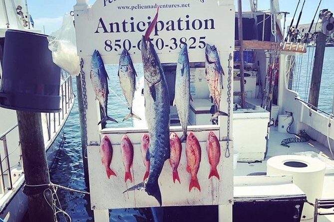 Shared Deep Sea Fishing Trip from Destin - Is the Price Worth It?
