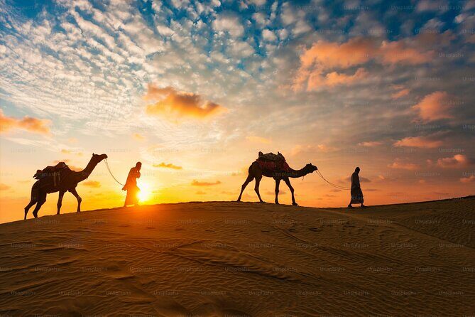 Shared Desert Safari in Dubai - Real Traveler Insights & Review Highlights