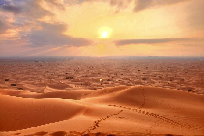 Shared Desert Safari Tour Dubai with Dinner Included - Practical Details and Tips
