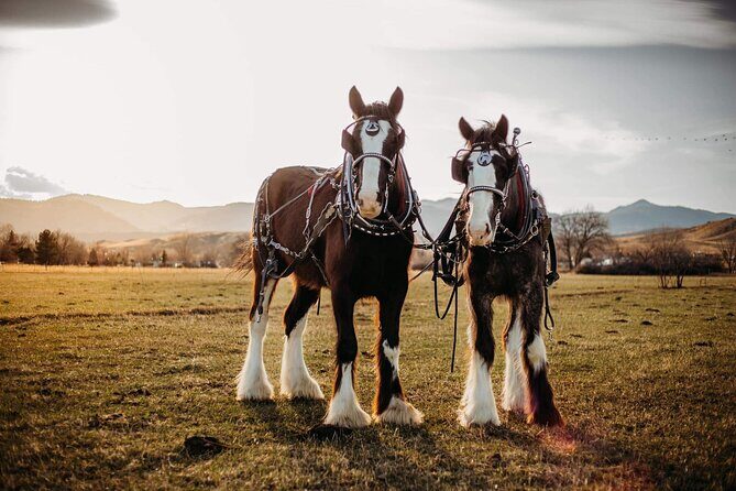 Shared Golden's History Wagon Ride Tour in Colorado - Frequently Asked Questions