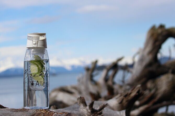 Shared Mindfulness in Wilderness Tour From Alaska - A Closer Look at Each Stop