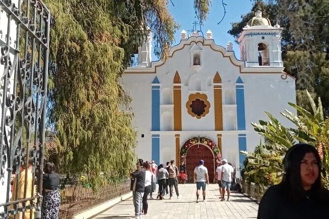 Shared Santa Maria Del Tule Bike Tour - What the Reviews Say