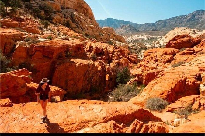 Shared Tour in Red Rock Canyon - Who Should Consider This Tour?
