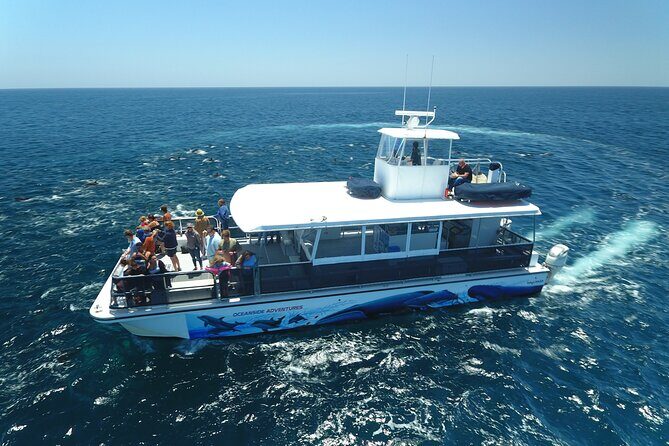 Shared Two-Hour Whale Watching Tour from Oceanside - The Value of the Experience