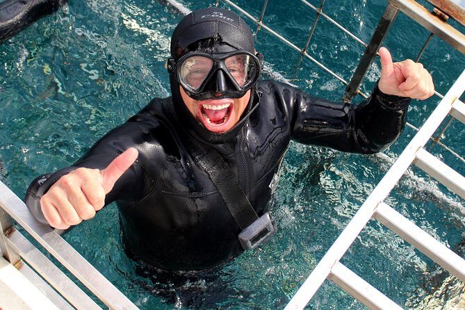 Shark Cage Diving and Viewing with transport from Cape Town - The Magic of the Cage: Close Encounters with Sharks