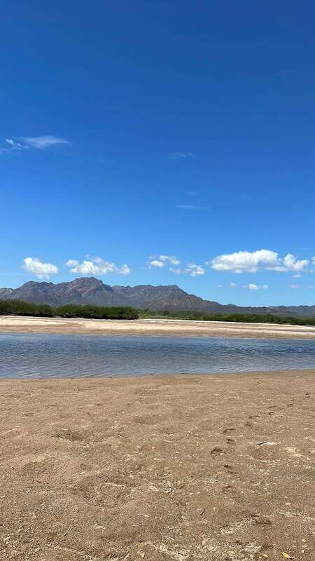 Shark Island: Tour of the largest island in Mexico - Visiting the Saguaro Forest: A Desert Oasis