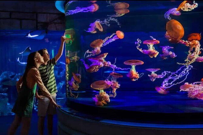 Shark Reef at Mandalay Bay Hotel and Casino - Analyzing the Value