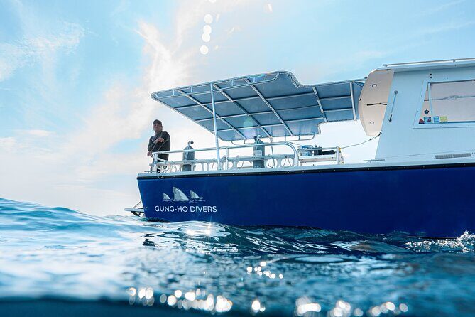 Shark Snorkeling Experience in South Florida - The Top Highlights of the Tour