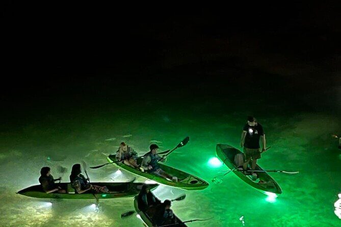 Sharkey's Glass Bottom Fish Feeding LED Night Tour in Clearwater - Who Will Love This Tour?