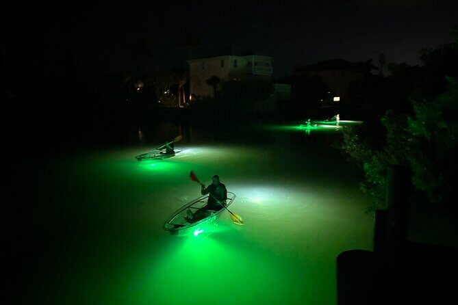 Sharkey's Glass Bottom Fish Feeding LED Night Tour in Venice, FL - Practical Details & Tips for Your Night Tour