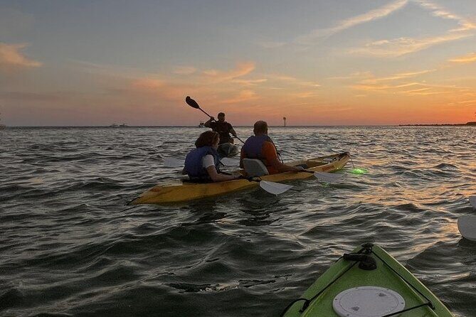 Sharkeys Glass Bottom Fish Feeding LED Night Tour Key West - What You Can Expect: Itinerary Breakdown