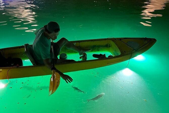 Sharkeys Glass Bottom Fish Feeding LED Night Tour St. Pete Beach - FAQ: Your Questions Answered