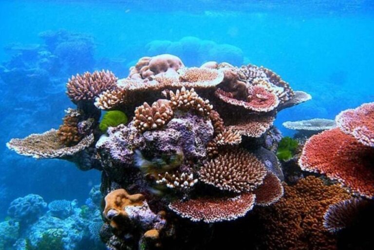 Sharm El-Sheikh: Jeep Adventure to Blue Hole, Canyon & Dahab - The Sum Up