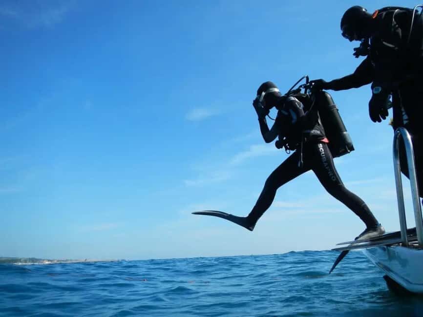 Sharm El Sheikh: Ras Mohamed & White Island Dive & Snorkel - Who Is This Tour Perfect For?