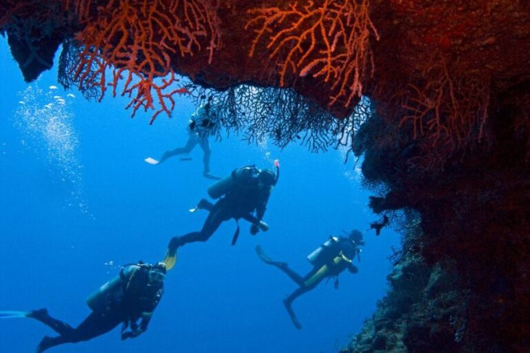 Sharm El-Sheikh: Ras Mohamed & White Island Snorkeling Trip - The Itinerary: What You’ll Experience