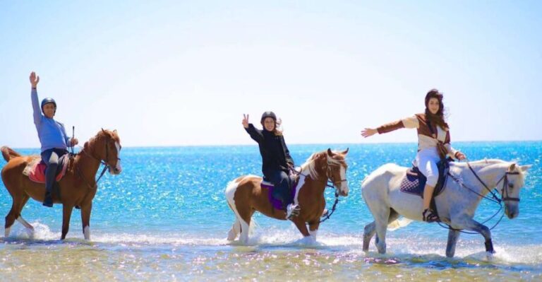 Sharm El Shiekh: Beach and City Desert Horse Riding Tour - The Details: What You Need to Know