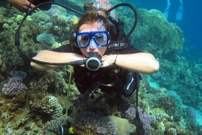 Sharm: Introductory Dive from the Shore & PADI Courses - Detailed Breakdown of the Itinerary