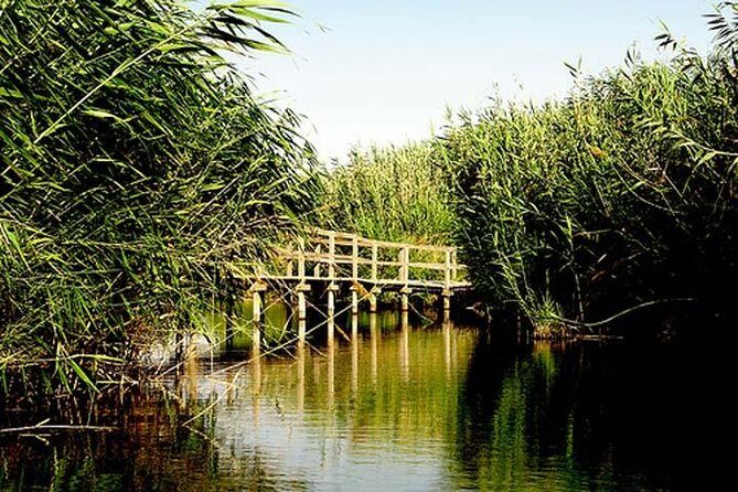 Shaumari Reserve and Azraq Wetland Private Full Day Tour from Amman - The Sum Up