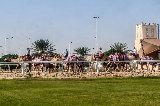 Sheikh Faisal, Camel Race Track visit - Equestrian Club: The Royal Stable of Qatar