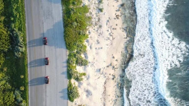 Shore Excursion: Buggy Tour at Punta Sur & Beach Visit - What Makes This Tour Stand Out?