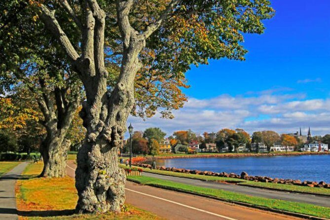 Shore Excursion: Charlottetown Highlights & Delights - What Travelers Say: Authentic Perspectives
