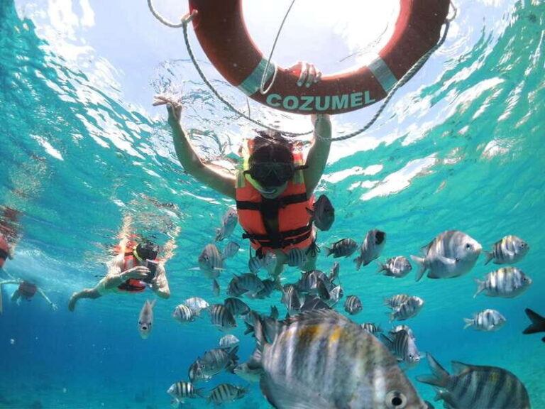 Shore Excursion: Clear Boat Tour with Snorkel & Drinks - The Itinerary in Detail