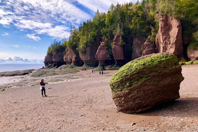 Shore Excursion to Hopewell Rocks and Fundy National Park - Hopewell Rocks: A Natural Marvel