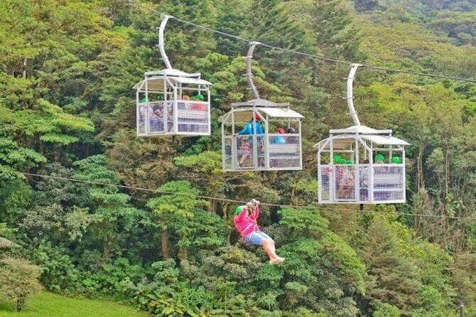 Shuttle From San Jose Airport To Monteverde - First-Hand Feedback: What Travelers Say