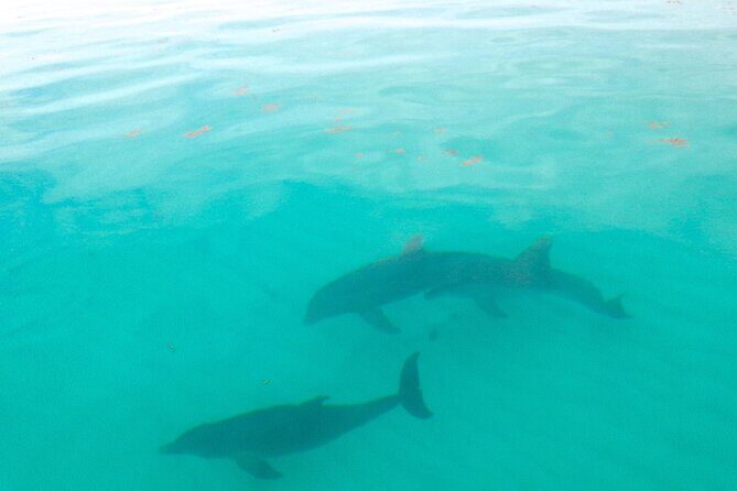 Sian Ka'an Boat Experience from Riviera Maya to Tulum - What’s Included & What’s Not