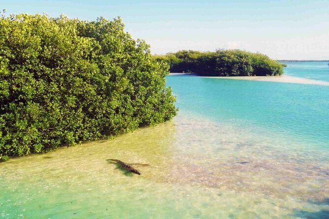 Sian Kaan Reserve Private Bike Tour - An In-Depth Look at the Itinerary