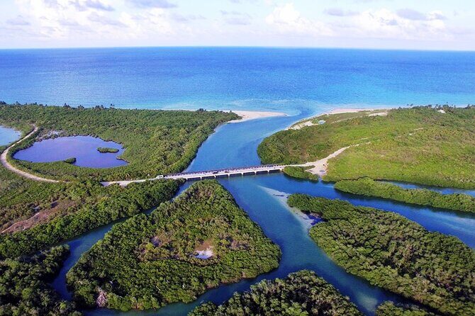 Sian Kaan Tour of Muyil Ruins and a Swim in Magical Cenote - What We Think: The Experience and Its Value