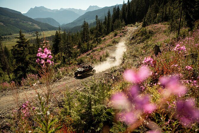 Side-by-Side Off-Roading Adventures on Cougar Mountain - What to Expect in Terms of Equipment and Preparation