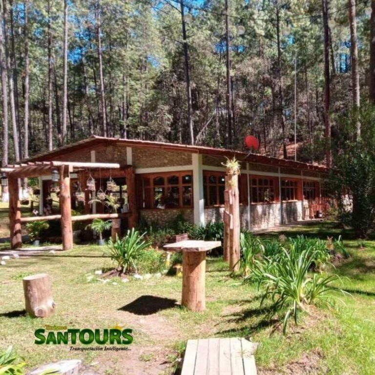 Sierra Norte: Eco Adventure Tour - Exploring Sierra Norte’s Forest: Guided Hike
