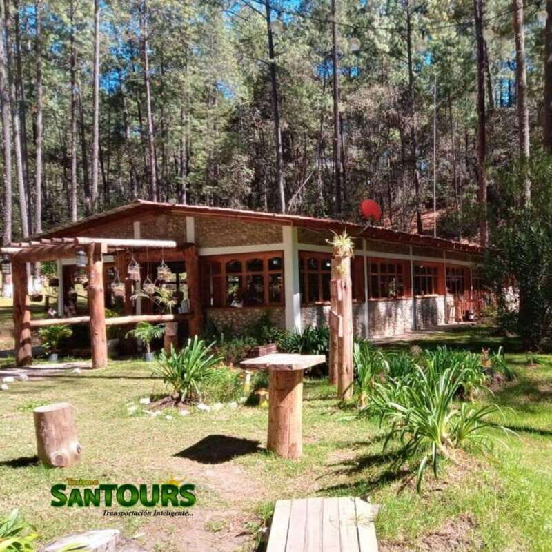 Sierra Norte: Eco Adventure Tour - Exploring Sierra Norte’s Forest: Guided Hike